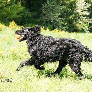 Meet your Posher, Mary